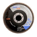 Komplet tarcz  listkowych 10szt.  115mm P40 KD960