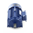 Silnik elektryczny 3,0KW 380V KD1816