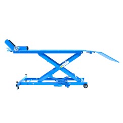 Podnośnik motocyklowy platformowy 450kg(1)