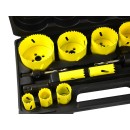 Zestaw otwornic Bimetal do metalu i drewna 17el. plastic box (5/10)