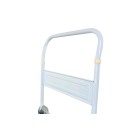 Wózek magazynowy platformowy 300kg(1)