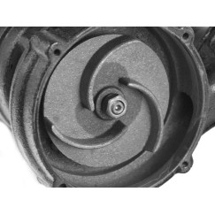 Pompa do szamba WQD-rozdrabniacz  pływak+wyłącznik termiczny (1)