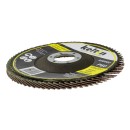 Tarcza listkowa lamelkowa 125mm P60(10/200)