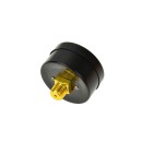 Manometr hydroforu 0-12 bar (50/200)