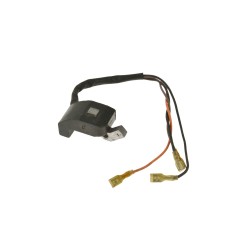 Zespół zapłonowy do agregatu spalinowego prądotwórczego 950W