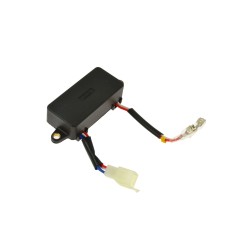 Regulator napięcia do agregatu spalinowego prądotwórczego 7.0KM(1)