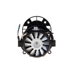 Silnik do myjki cisnieniowej G81600 (1)