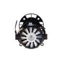 Silnik do myjki cisnieniowej G81600 (1)