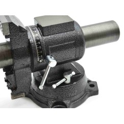 Imadło wielofunkcyjne 5" 125mm (1)