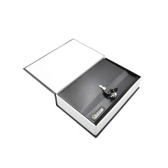 Kasetka-książka na pieniądze 240x155x55 na kluczyk (20)